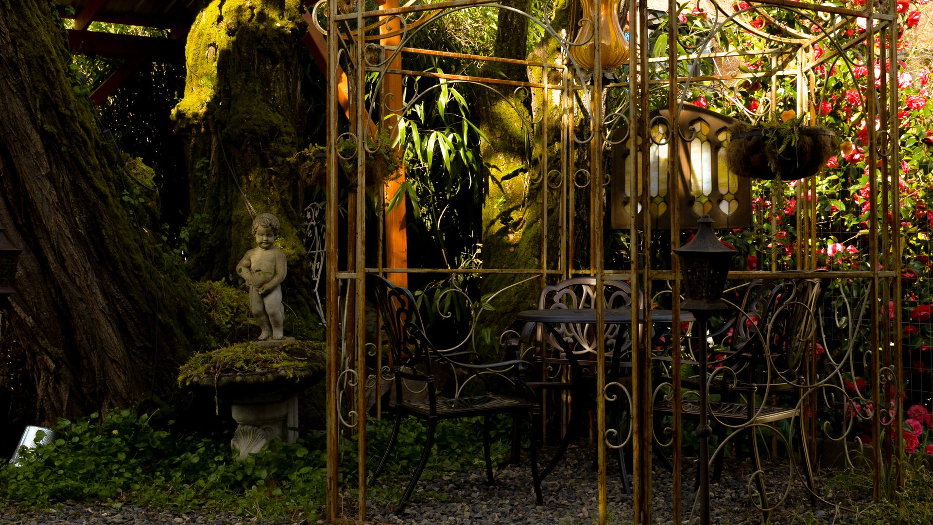 A wrought-iron arbor with bistro chairs, a cherub statue and red camellias in Foxtrot's garden